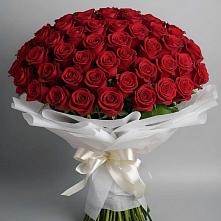 Букет 101 Красная роза Блэк Мэджик в Спасское Тульская область