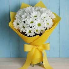 Букет цветов из:  Хризантемы #REPLACE_PRED# Спасское Тульская область