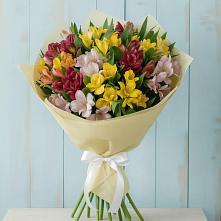 Букет цветов из:  Альстромерии #REPLACE_PRED# Спасское Тульская область