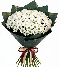 Букет цветов из:  Хризантемы в Спасское Тульская область
