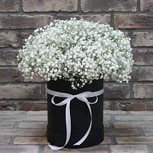 Цветочная композиция из Гипсофила в шляпной коробке в Спасское Тульская область