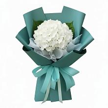 Букет цветов из:  Гортензия в Спасское Тульская область